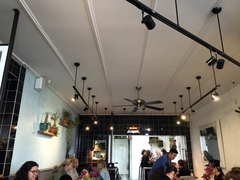NZFW-2015-Dear-Jervois-Cafe-in-auckland,-new-zealand-
