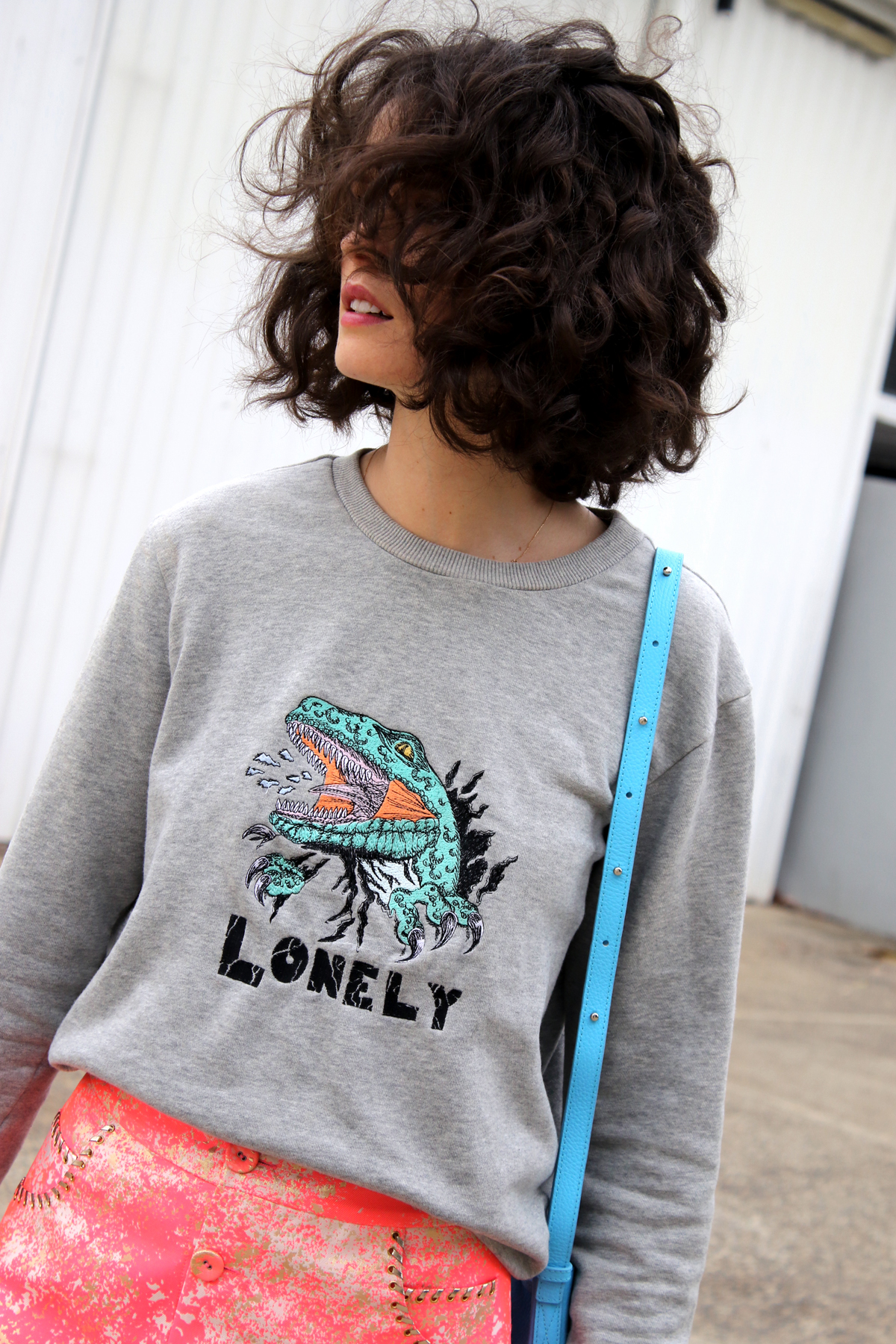 Lonely label dinosaur sweater
